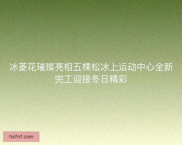 冰菱花璀璨亮相五棵松冰上运动中心全新完工迎接冬日精彩